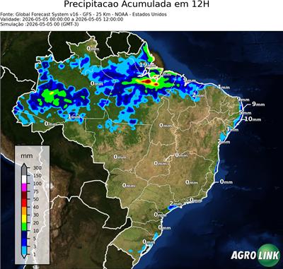 12 horas