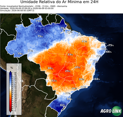 24 horas