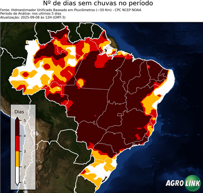 5 dias