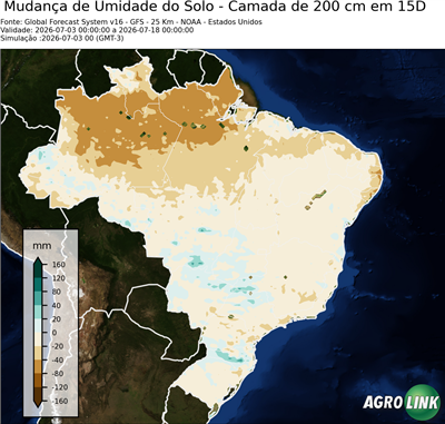 15 dias