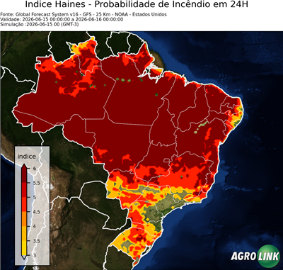 24 horas