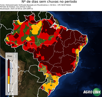 5 dias