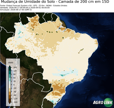 15 dias