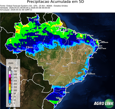 5 dias
