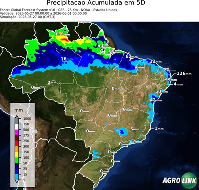 5 dias