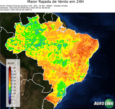 24 horas
