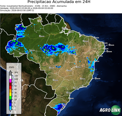 24 horas
