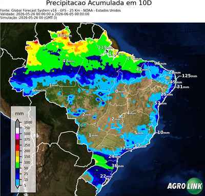 10 dias