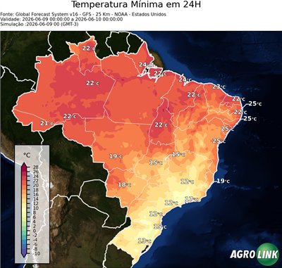 24 horas