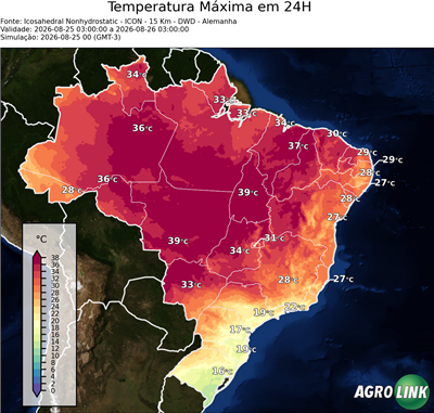 24 horas