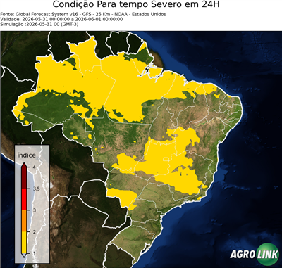 24 horas