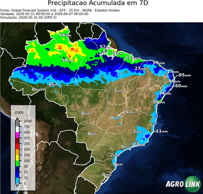 7 dias