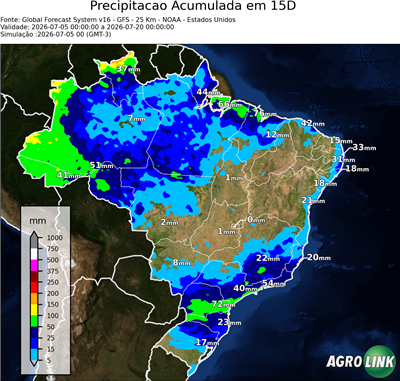 15 dias
