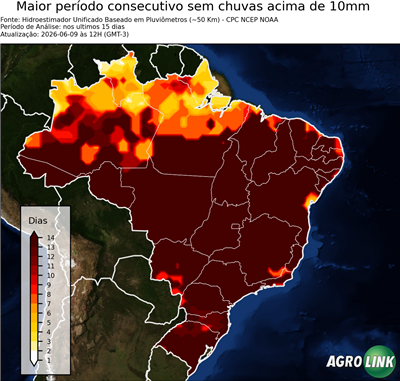 15 dias