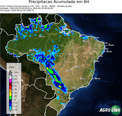 6 horas