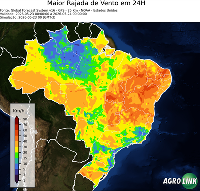 24 horas