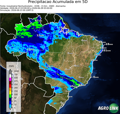 5 dias