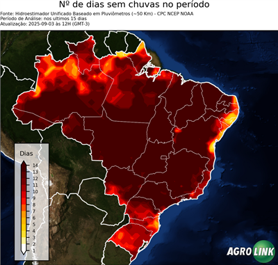 15 dias