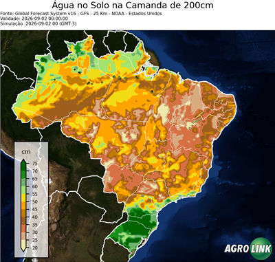 24 horas
