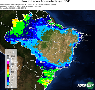 15 dias