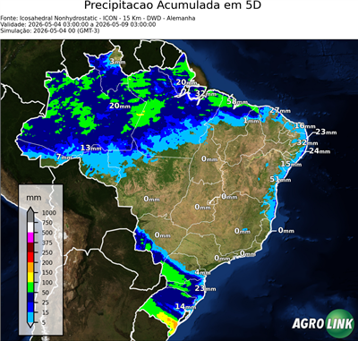 5 dias