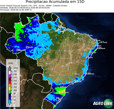 15 dias