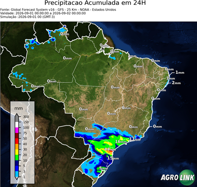 24 horas