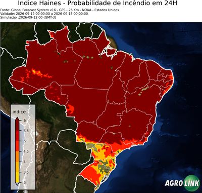 24 horas