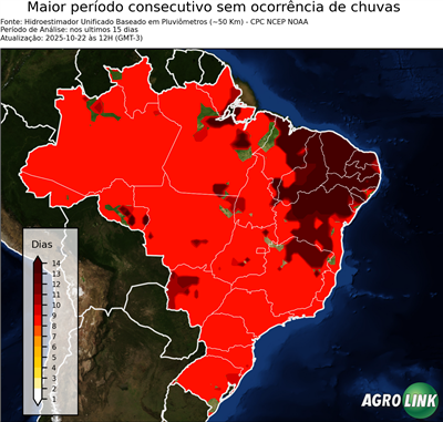15 dias