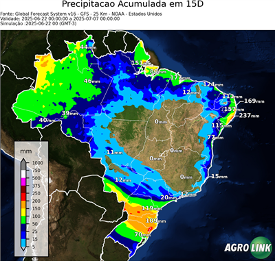 15 dias