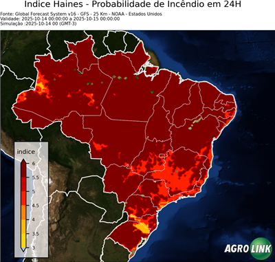 24 horas