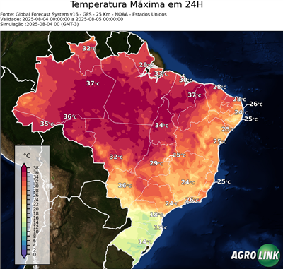 24 horas