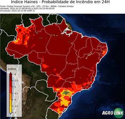 24 horas