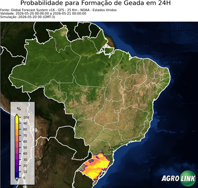 24 horas