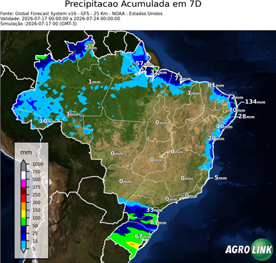 7 dias