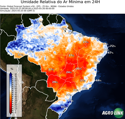 24 horas