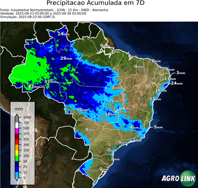 7 dias