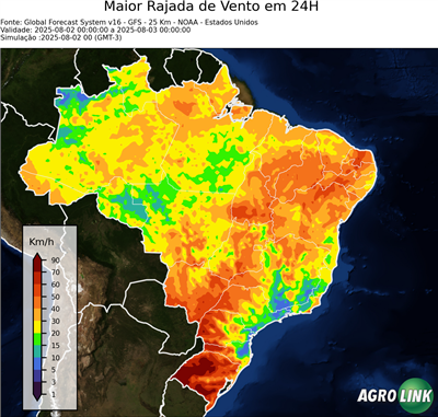 24 horas