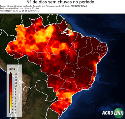 15 dias