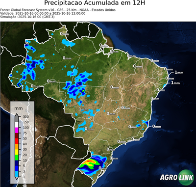 12 horas