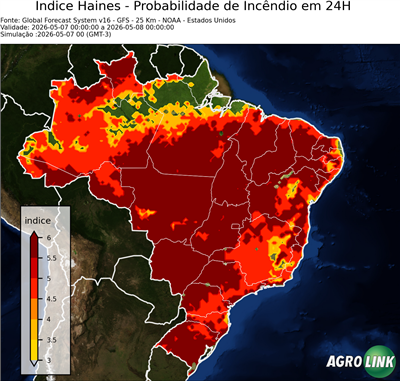 24 horas