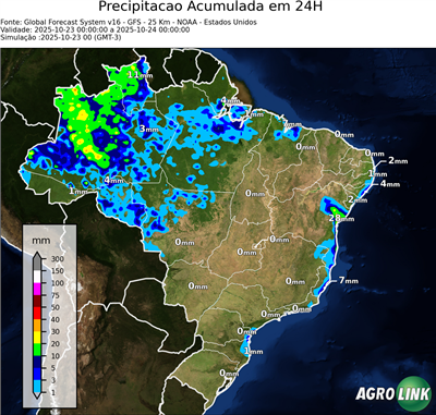 24 horas