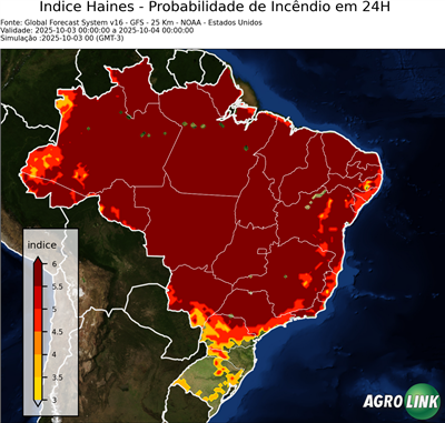 24 horas