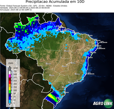 10 dias