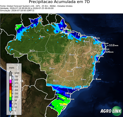 7 dias
