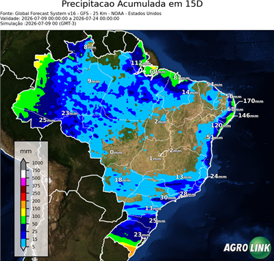 15 dias