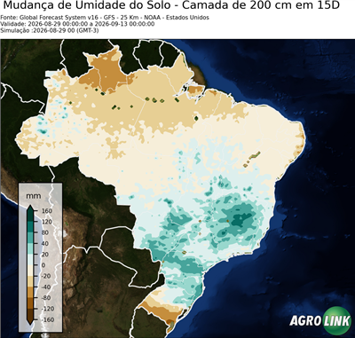 15 dias