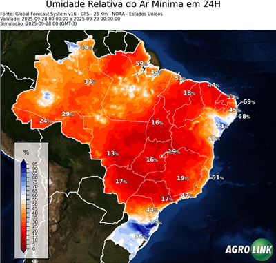 24 horas