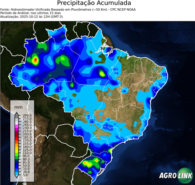 15 dias