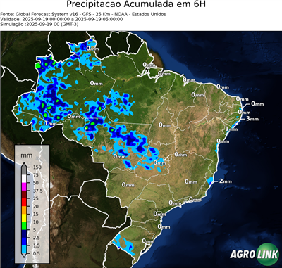 6 horas